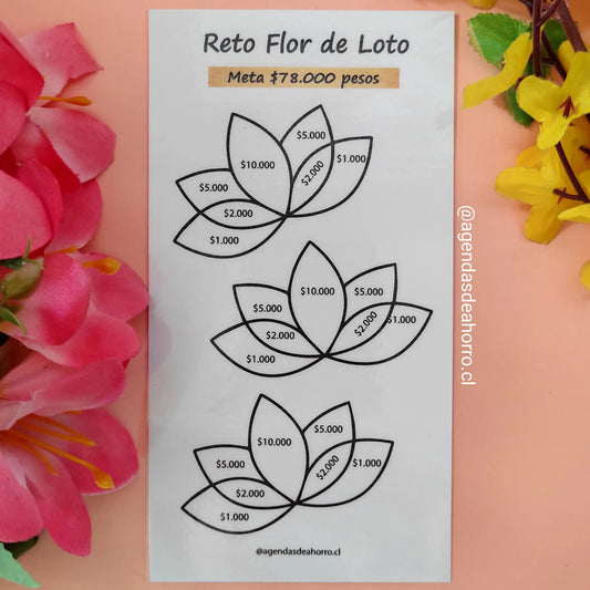 RETO FLOR DE LOTO - CARTILLA PLASTIFICADA