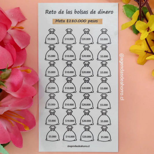 RETO DE LAS BOLSAS DE DINERO - CARTILLA PLASTIFICADA