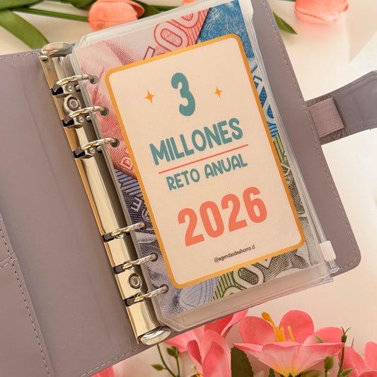AGENDA RETO DE AHORRO ANUAL 3 MILLONES - A6