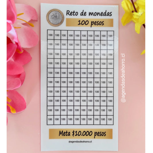 RETO DE AHORRO 100 PESOS - CARTILLA PLASTIFICADA